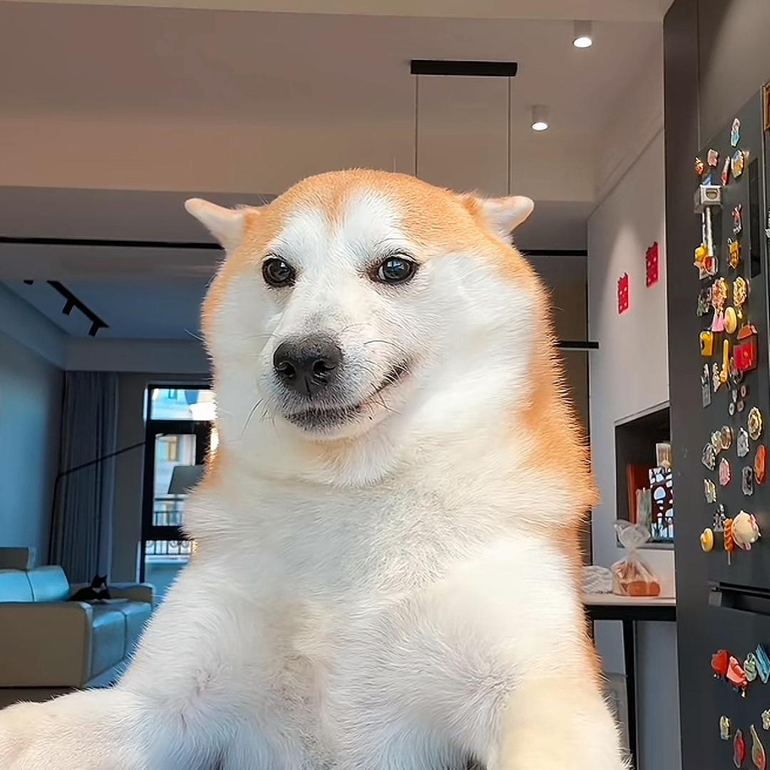 奥特慢。