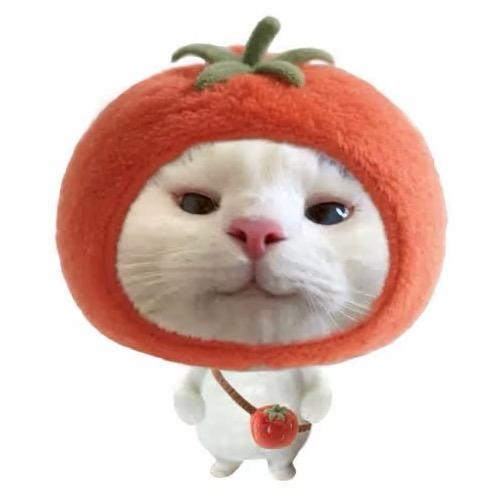 十二.