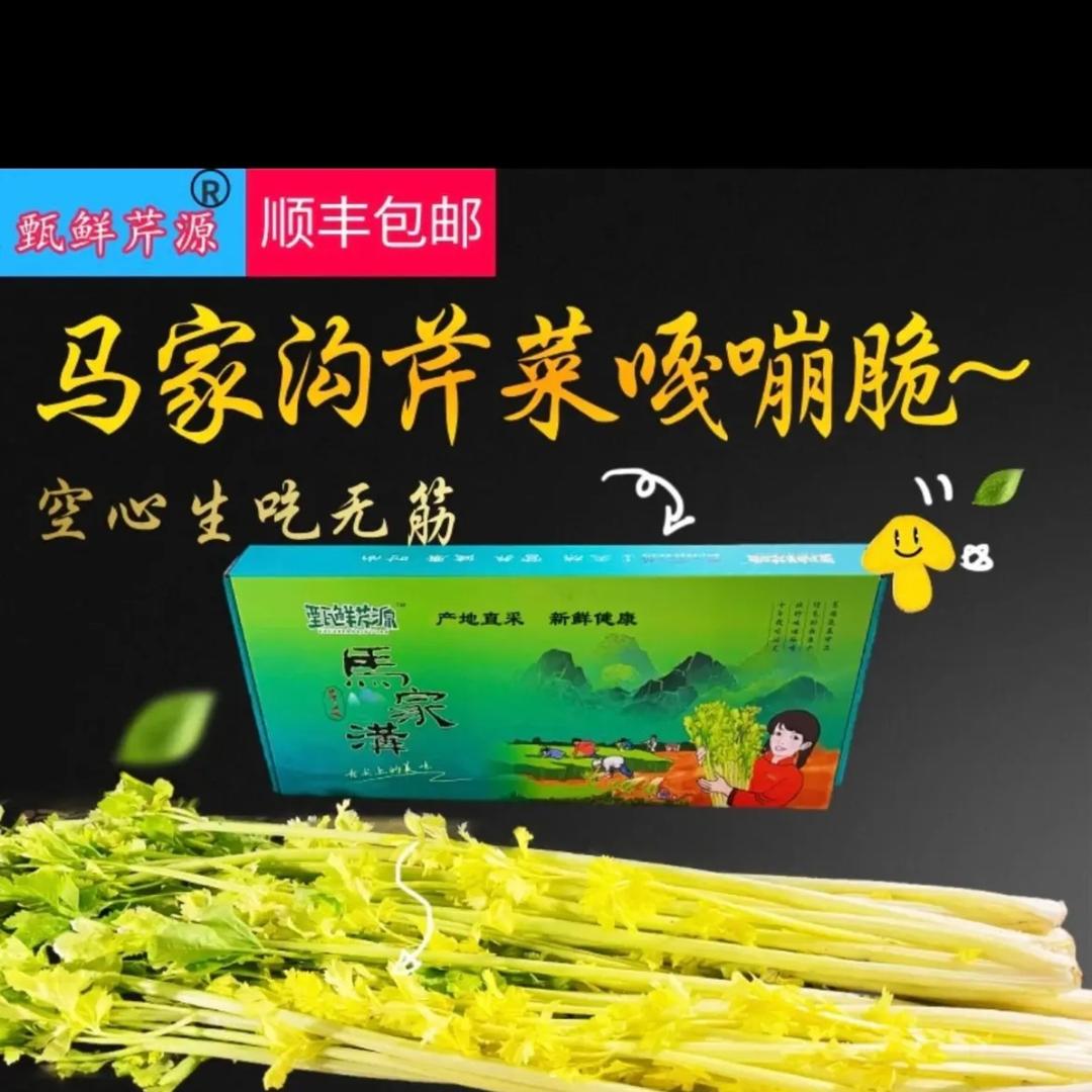 甄鲜芹源马家沟芹菜直销