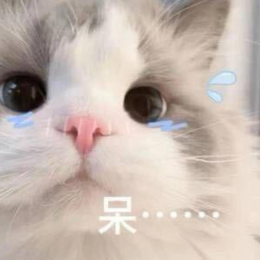 小不溜瑞