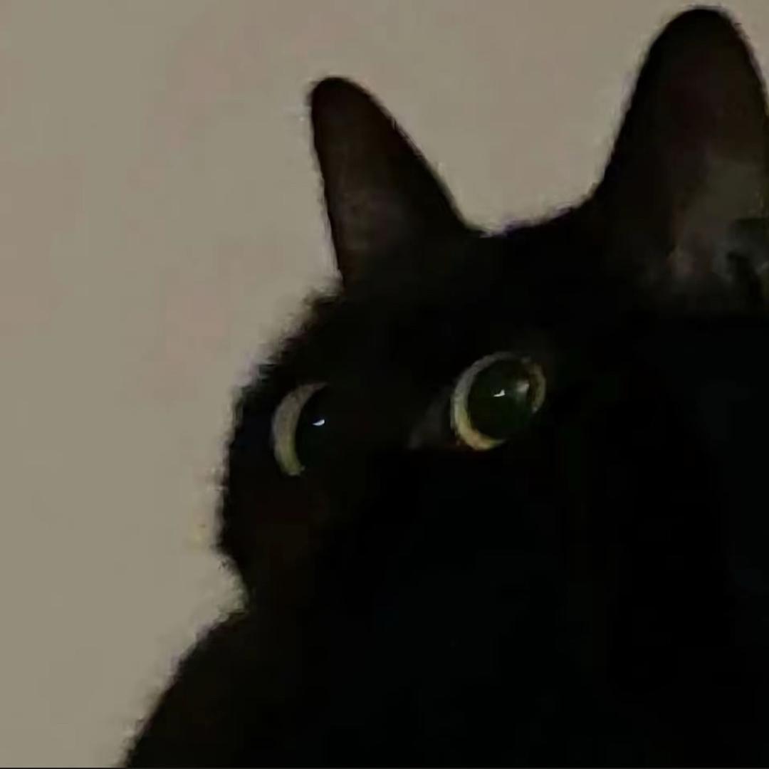 不说