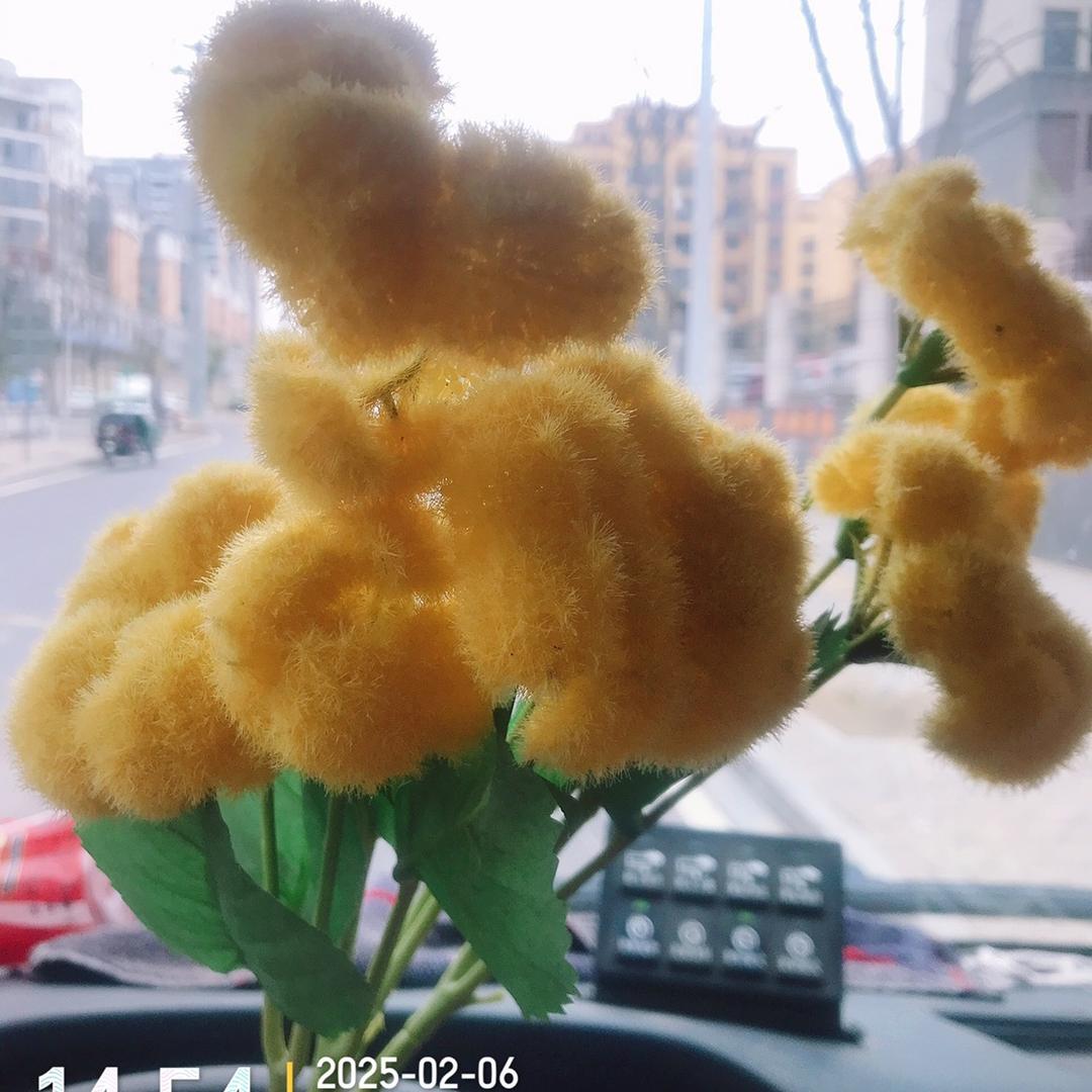 气驾十年