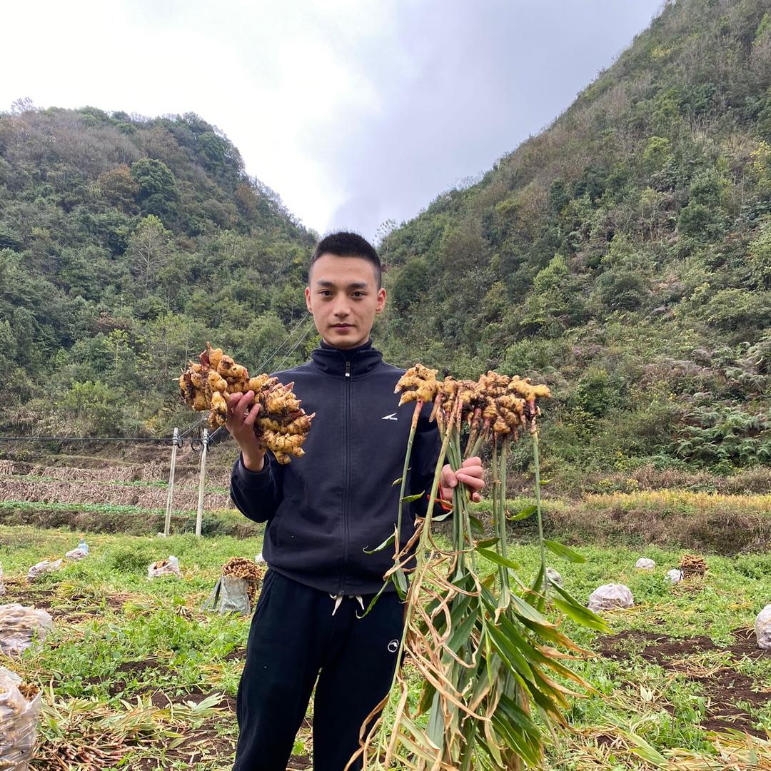卖菜的小周