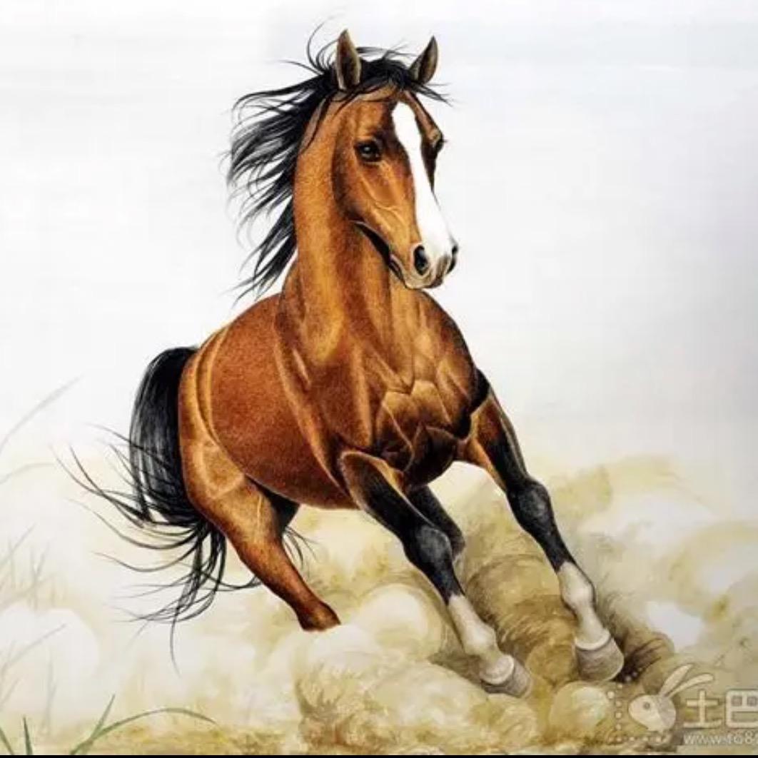 結緣㝵马(视频同款再橱窗)