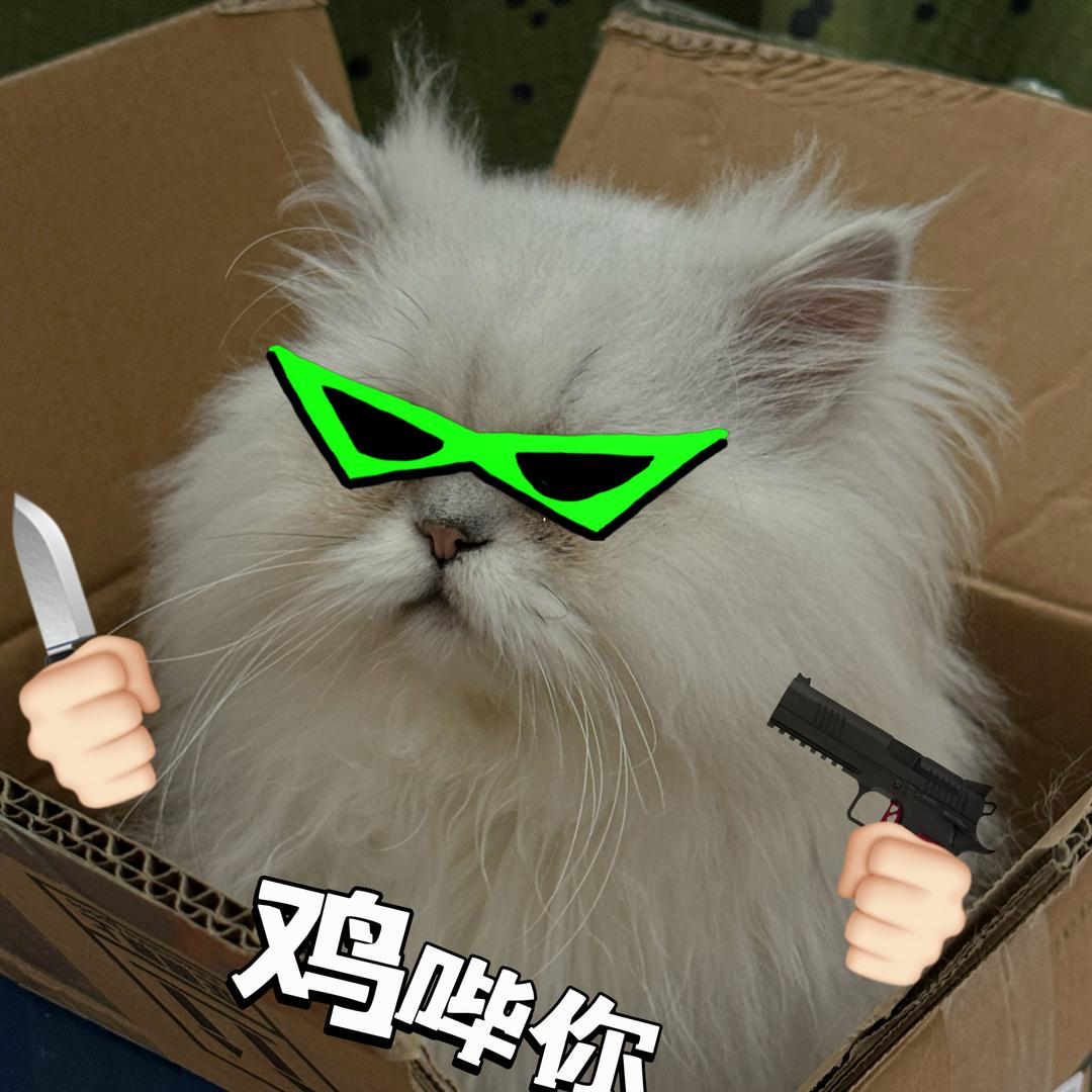 大猫咪了