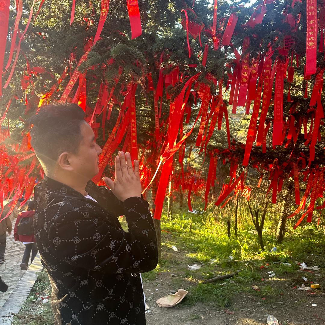 朕为你执着