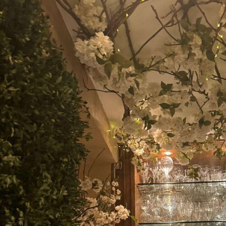 陈师聊养生