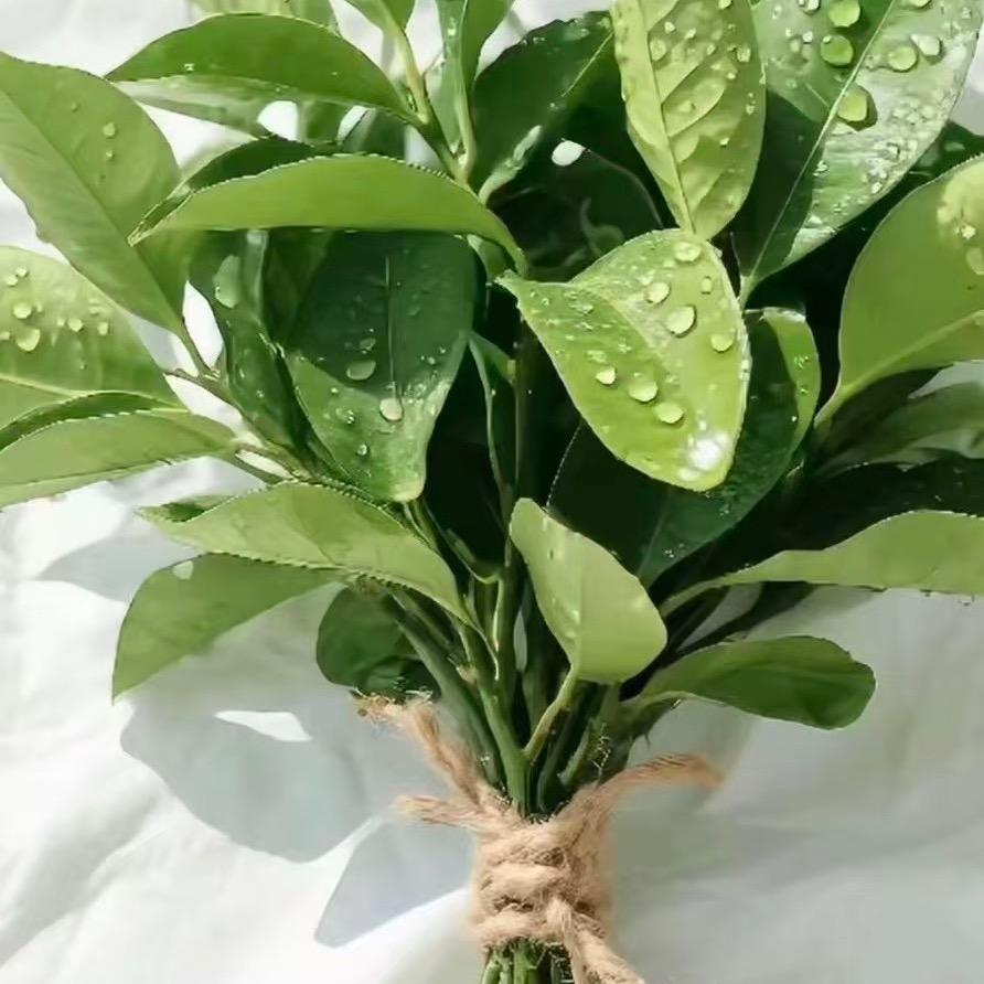 ღ安静ꦿᮨ