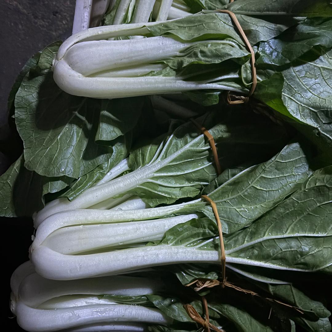 张师傅农村生活