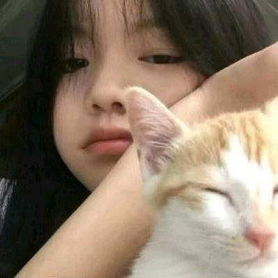 陶不了