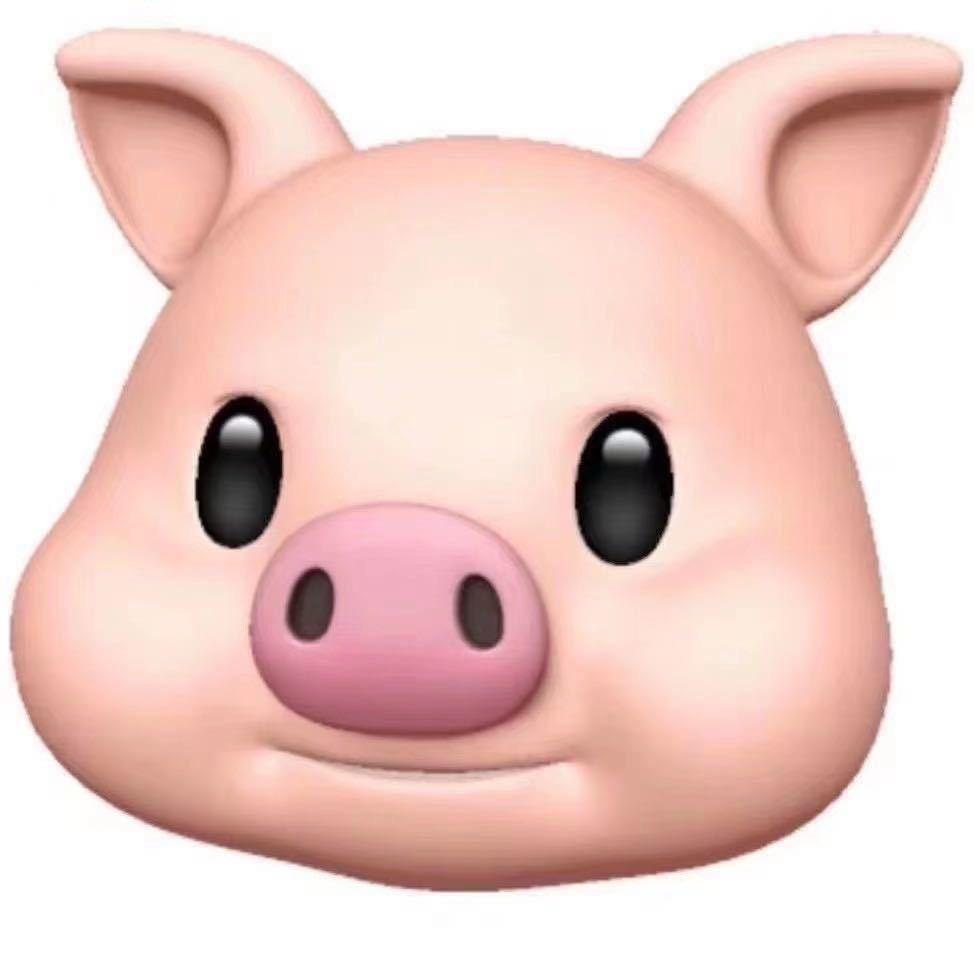 小鱼同学🐷