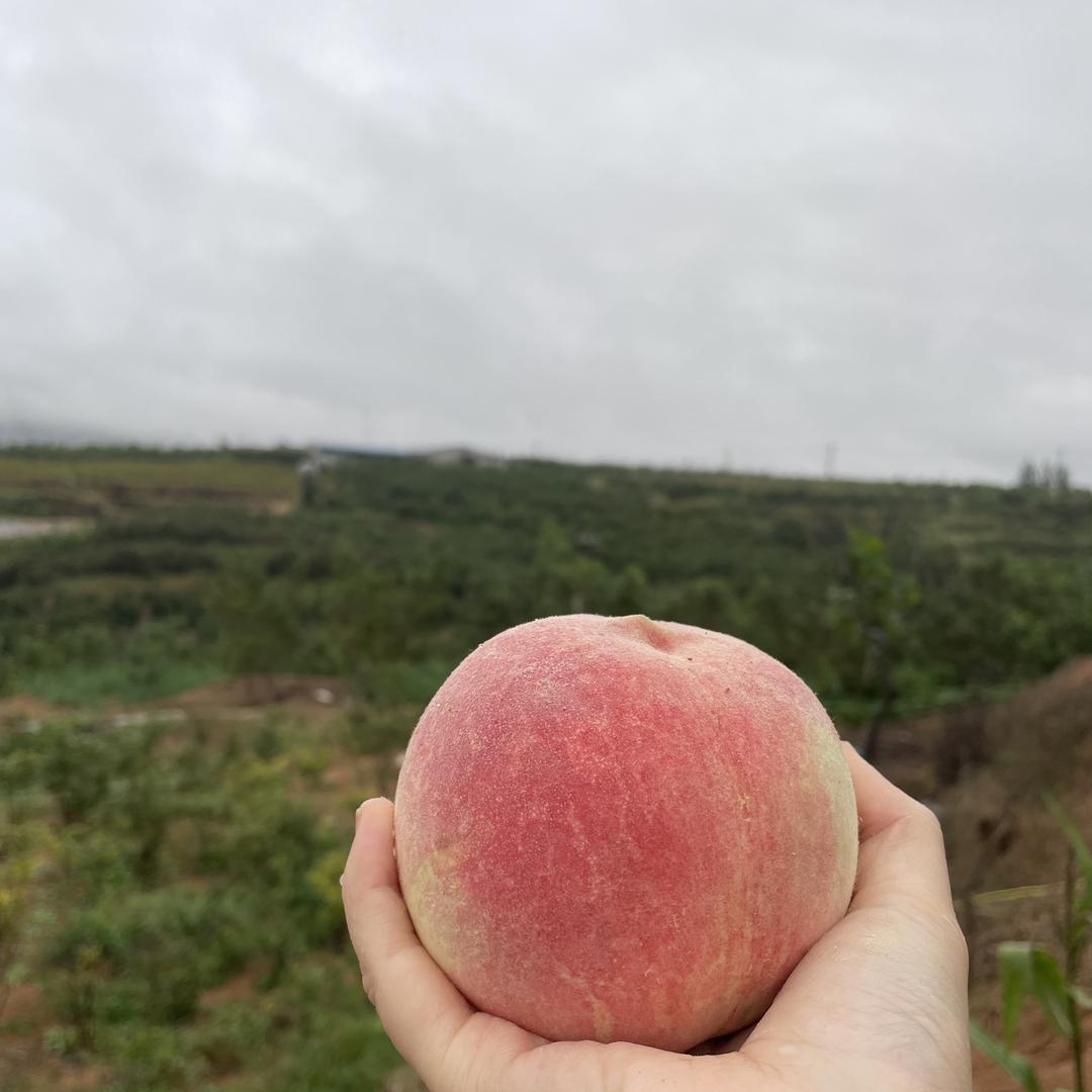 友如源（生鲜琅什）