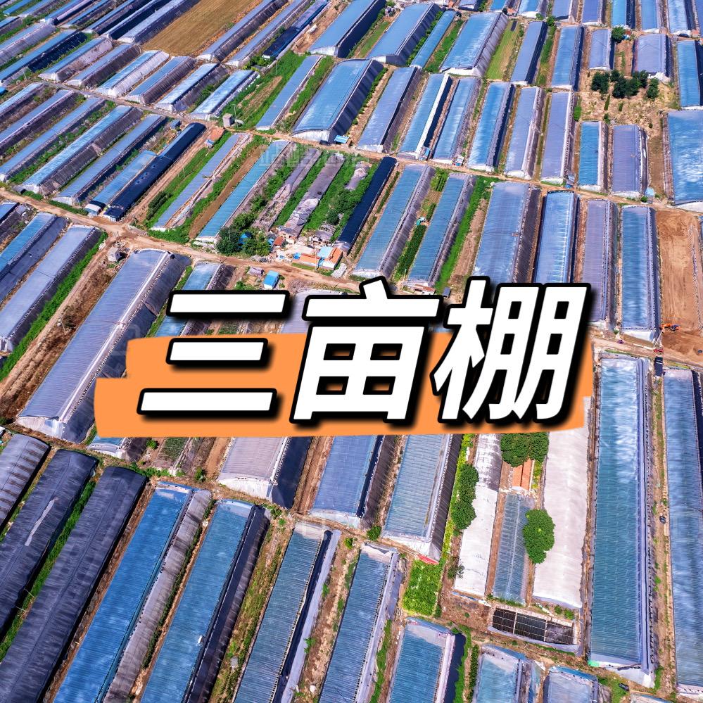 寿光三亩棚果蔬