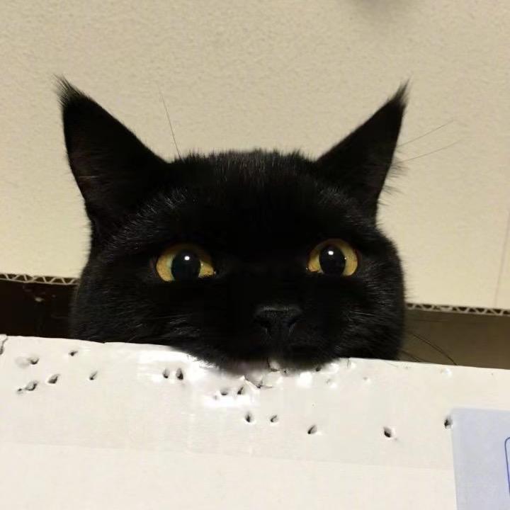 一个慢慢变瘦的小胖子