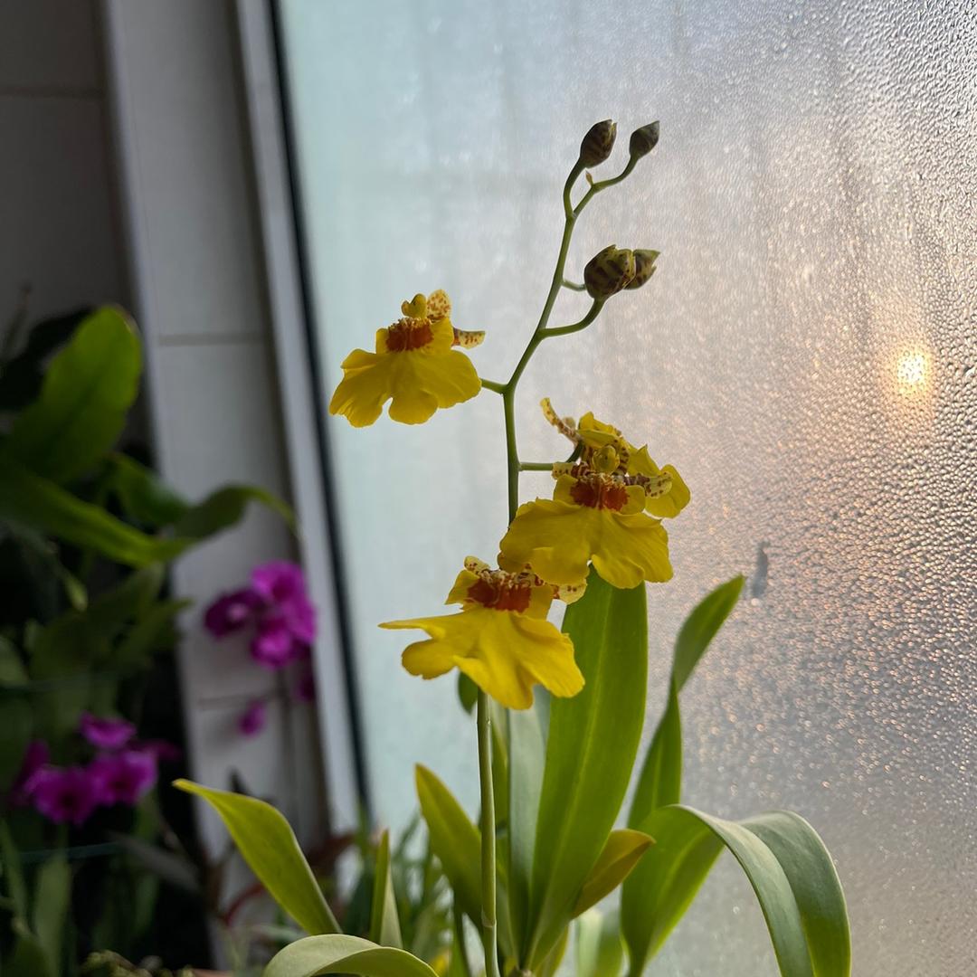 晴姐不累精力充沛