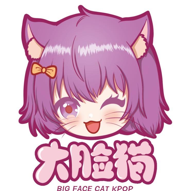 大脸猫kpop周边