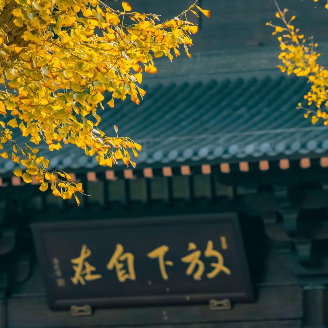 禅心生活