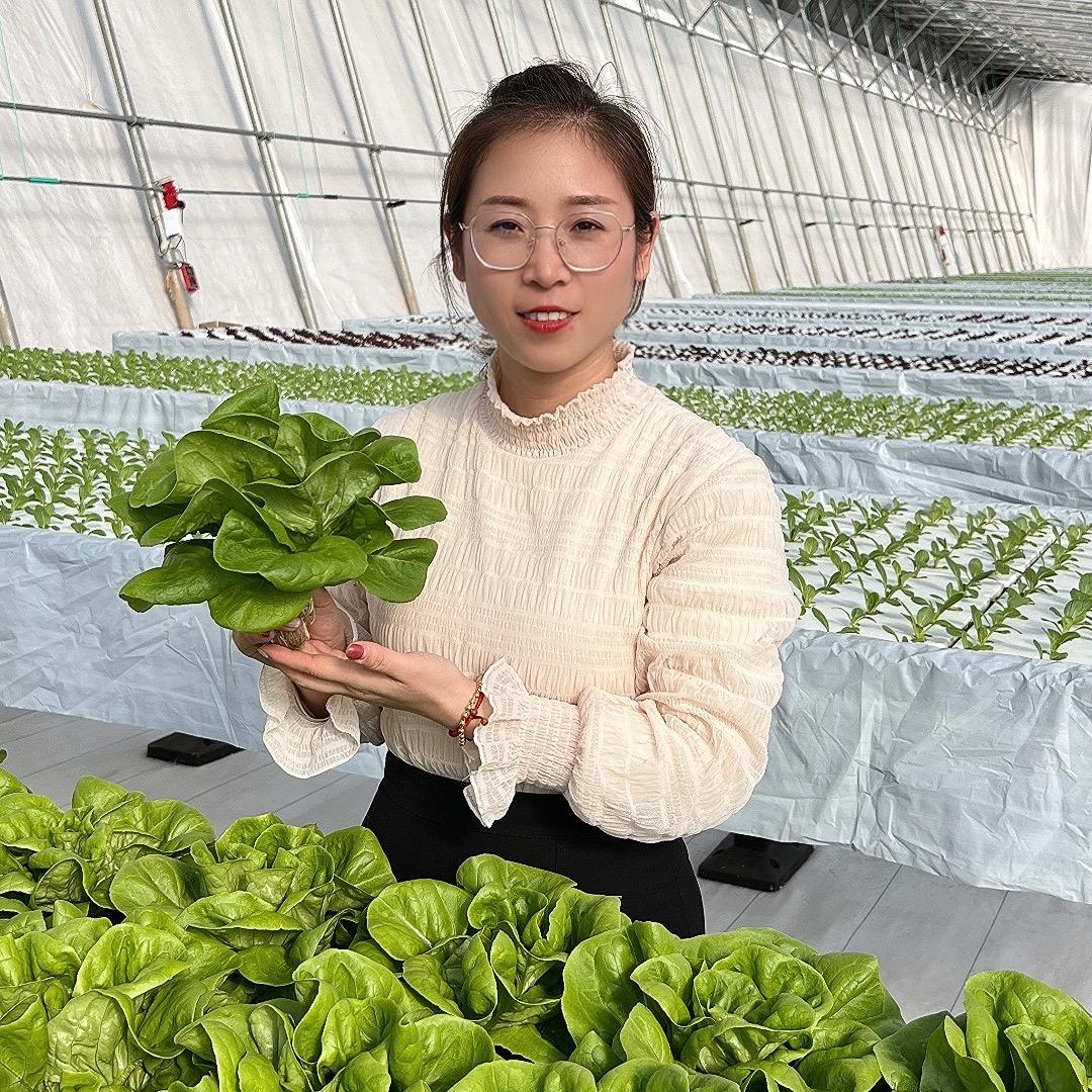 寿光市 中荷无土栽培研究所1