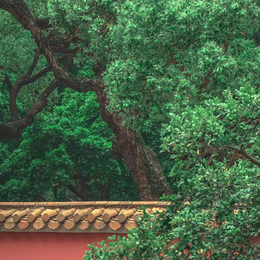 金贝儿潮童(生龙国际·时尚广场店)专用号