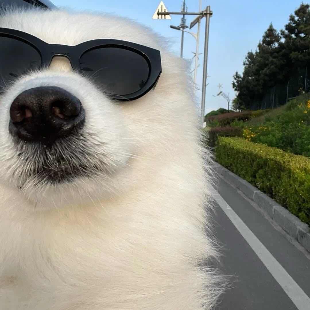 629（打瓦版…）