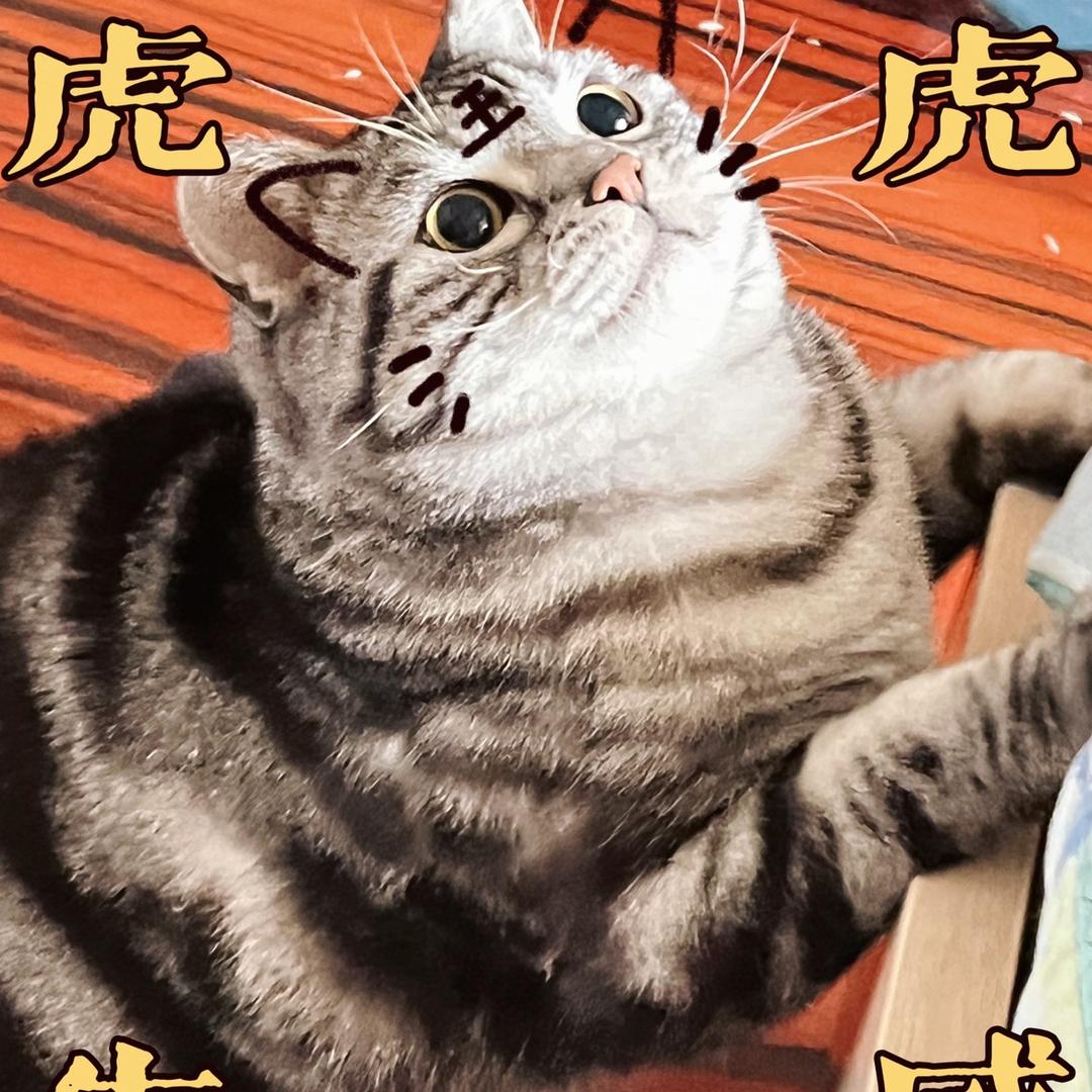 从不窜稀的人🥕