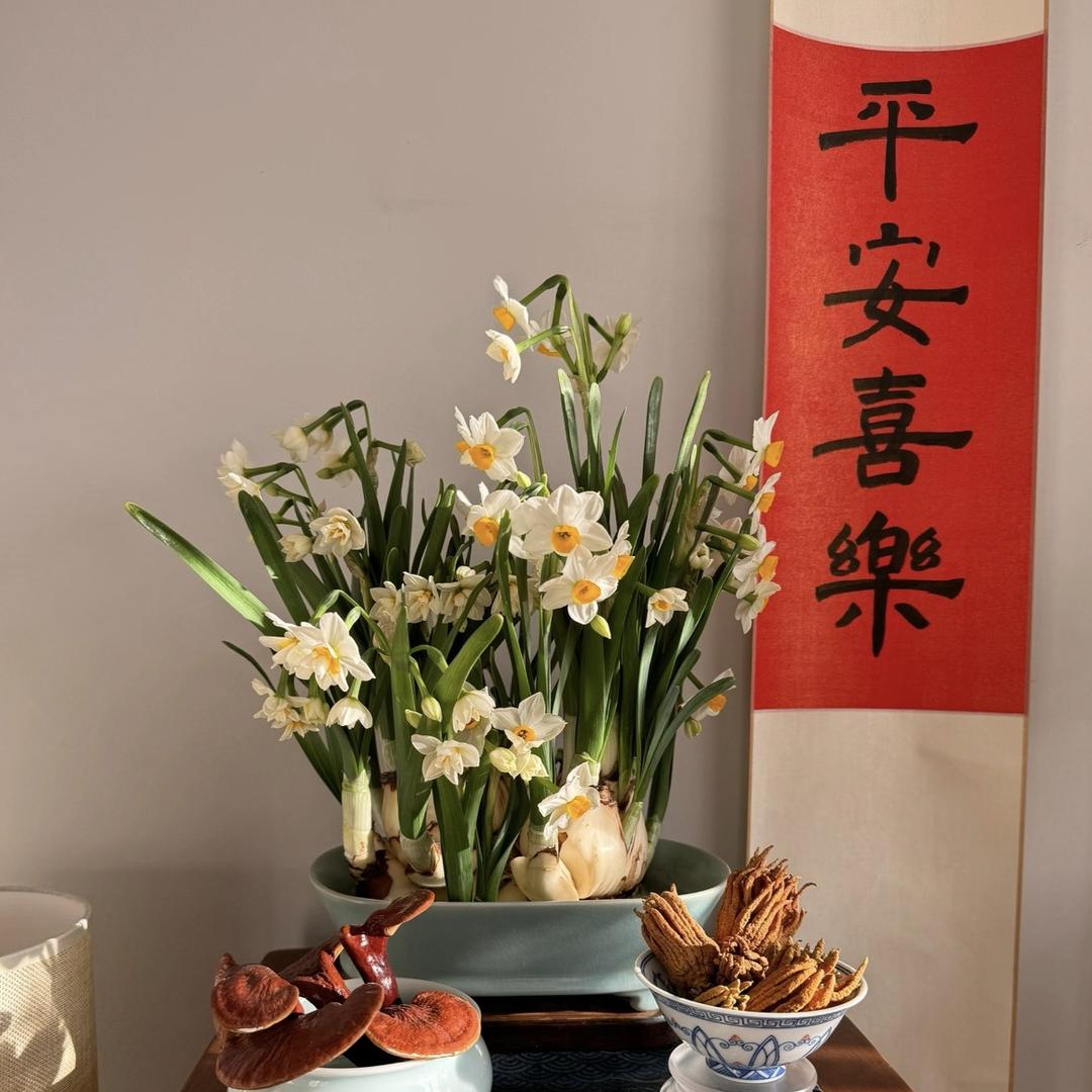 小张绿植园艺（漳州基地）