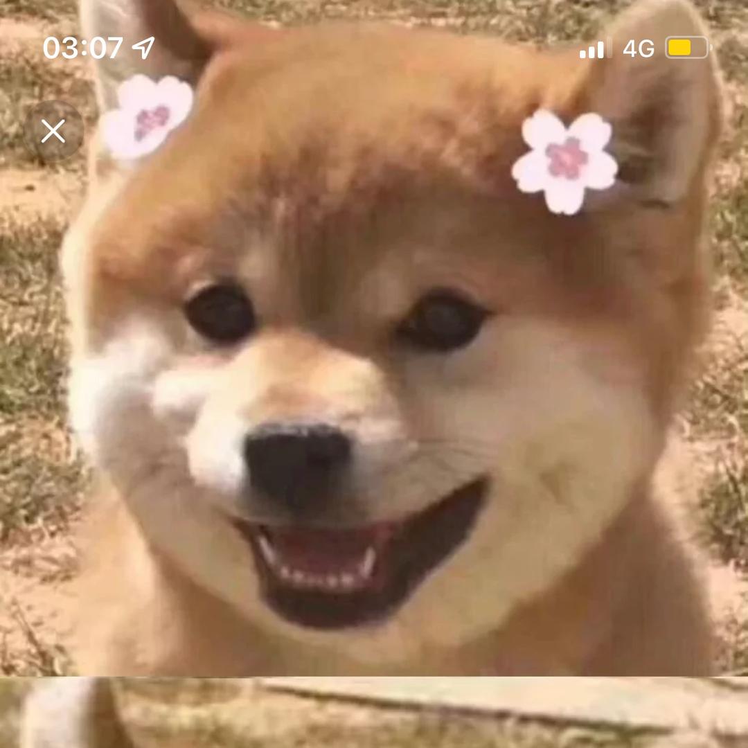周🍎😀
