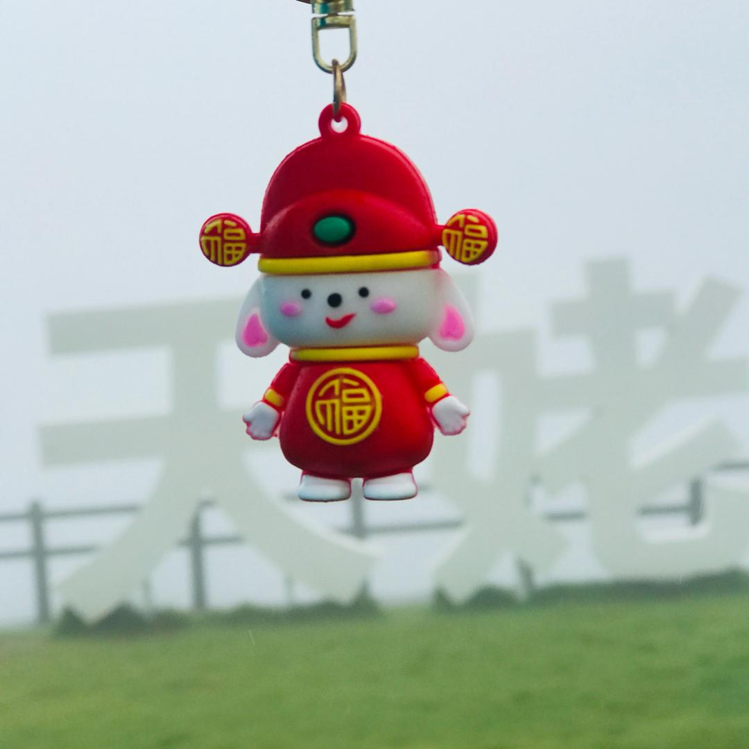 灵小胖