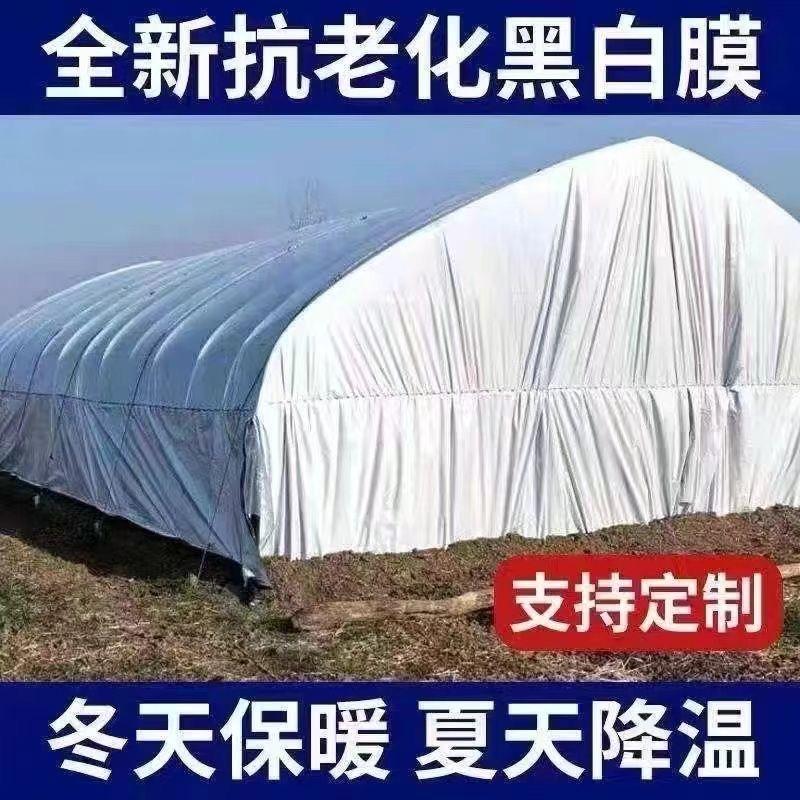 臻选阁棚膜基地