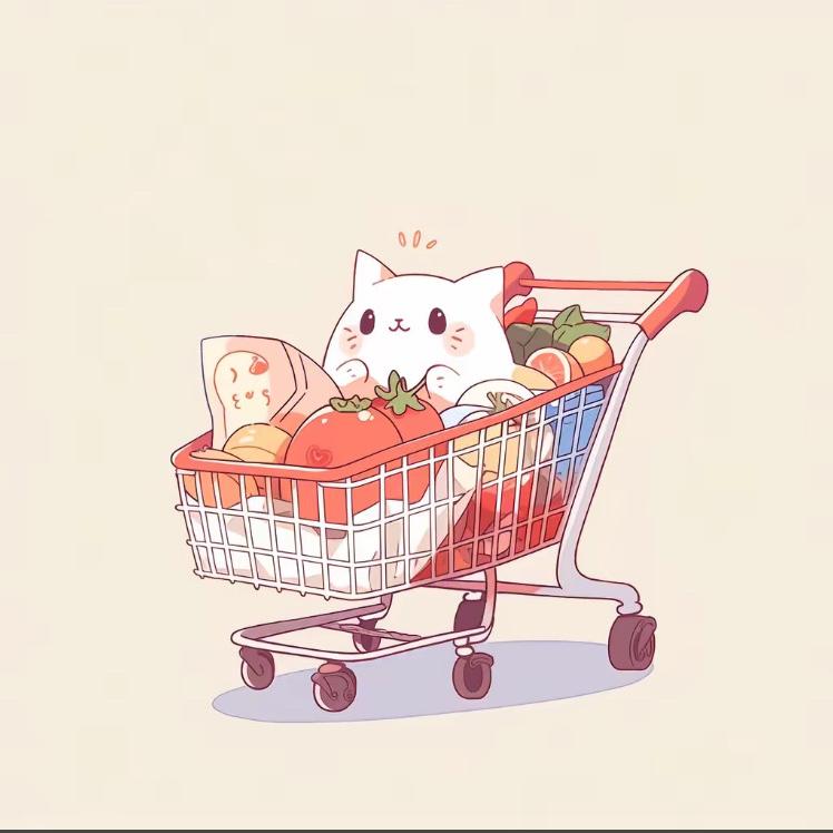 南南好物（女士包包）