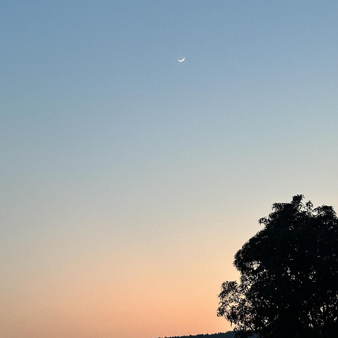 珍惜一切（直播吐血版）