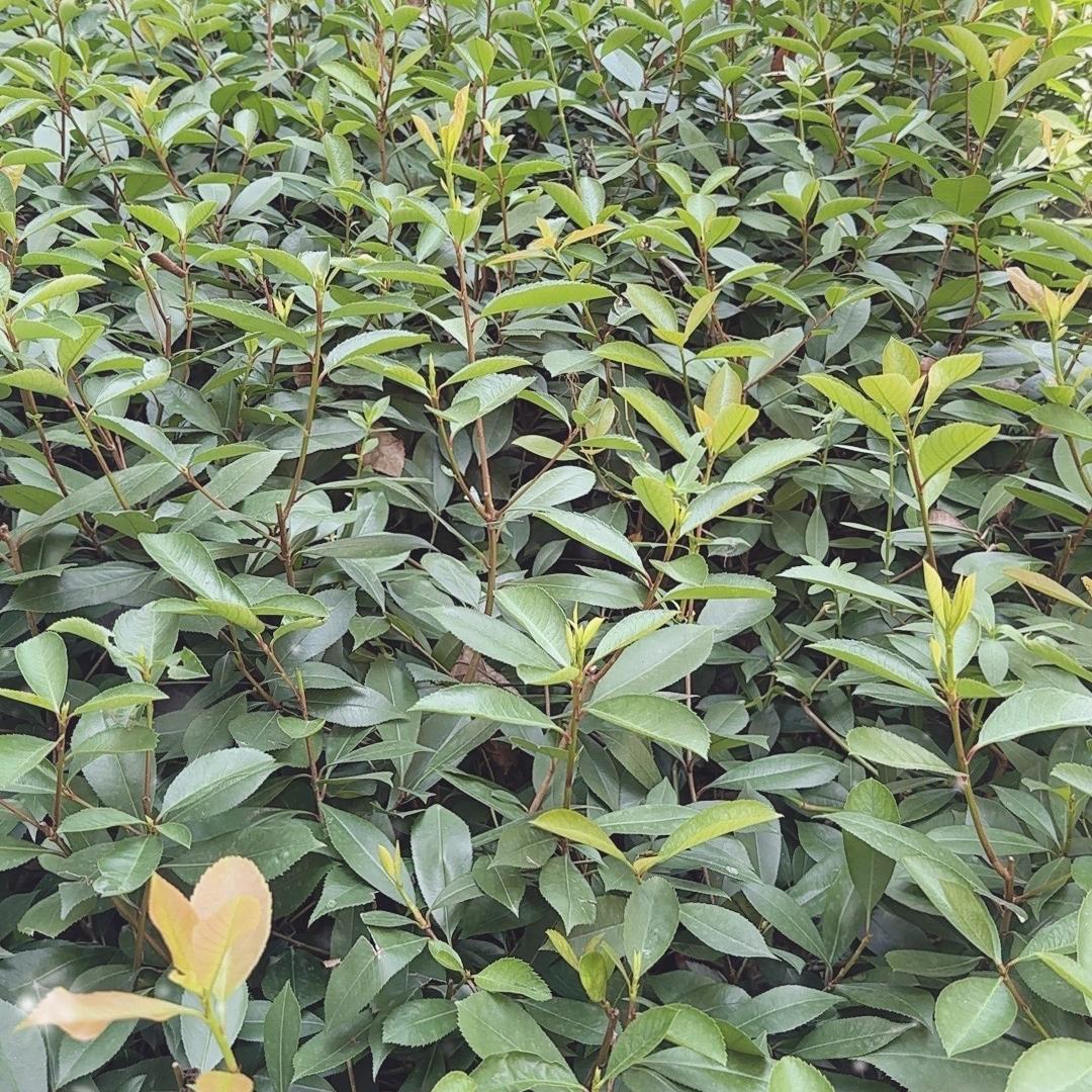 德清广润房地产开发有限公司