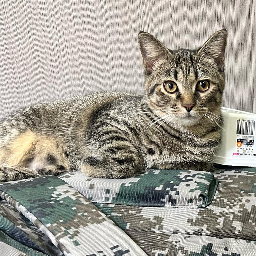 𝕤𝕥𝕒𝕣𝕣𝕪✨