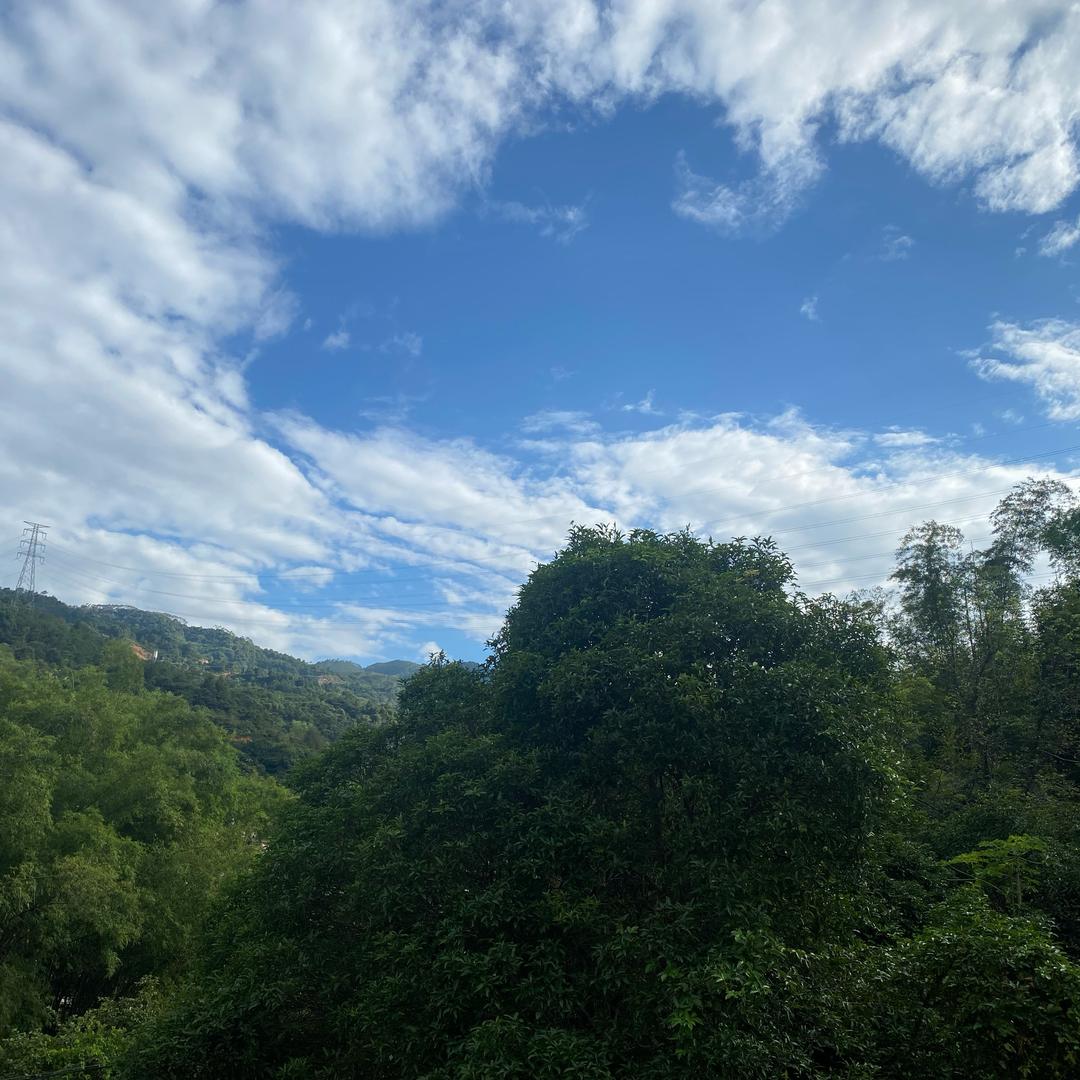 小苹果