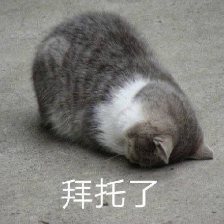 祖阳哈
