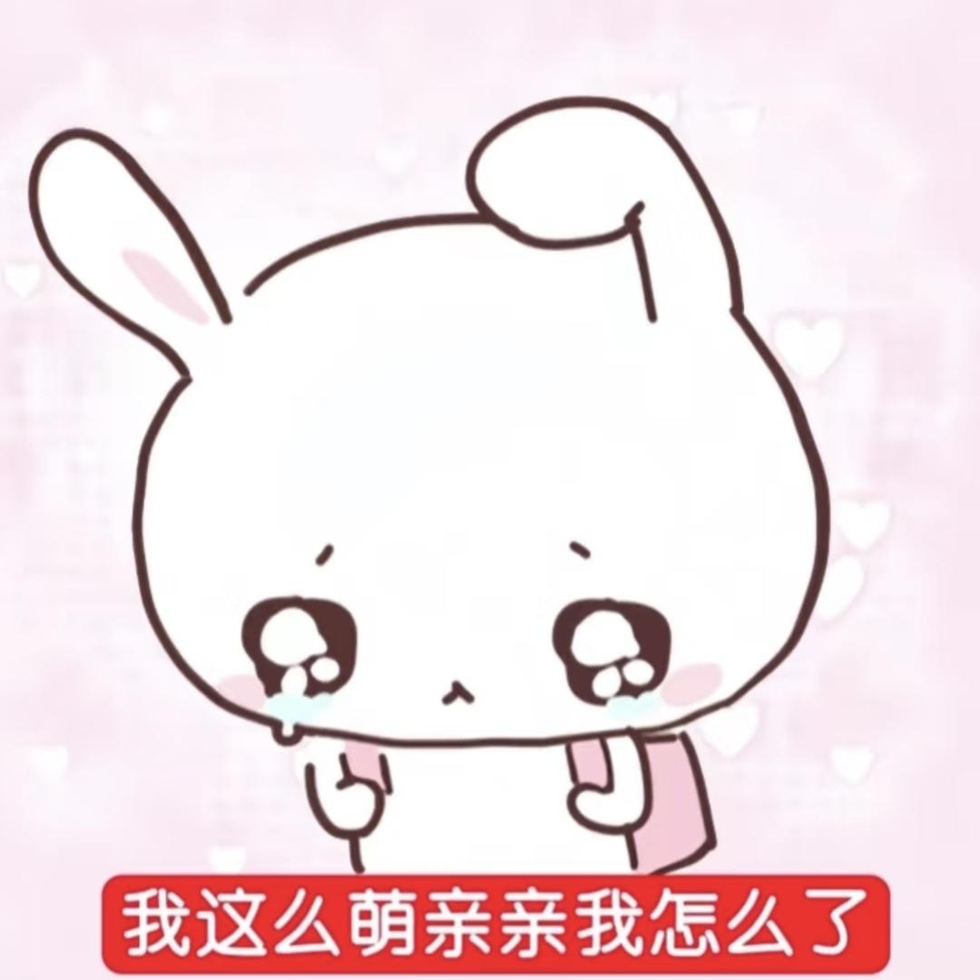 小乖不在