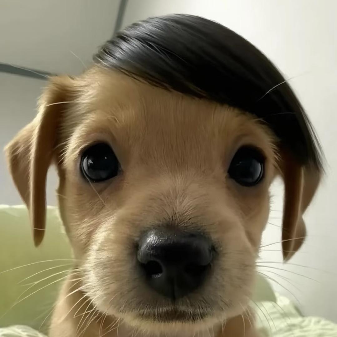 cutee