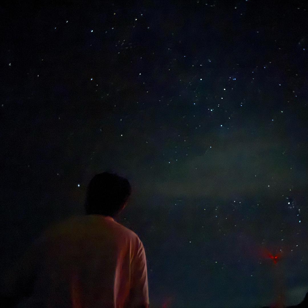 先生的树