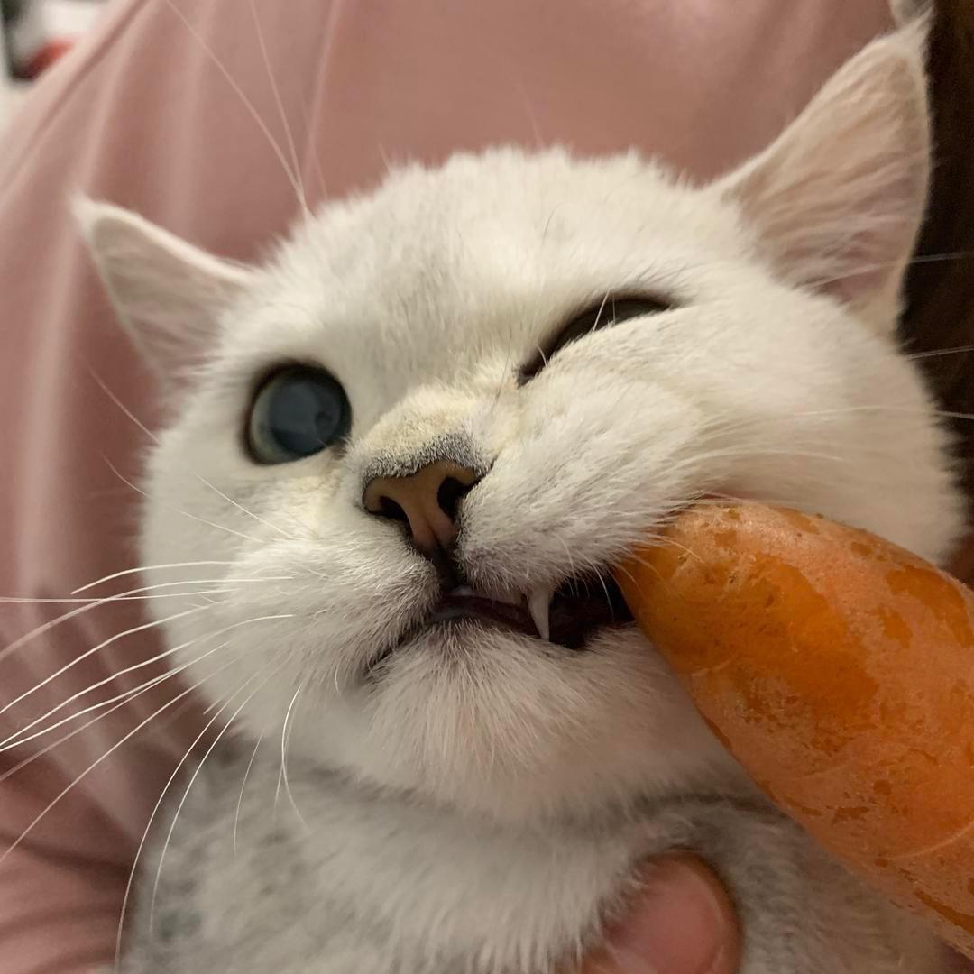 蜗牛先生