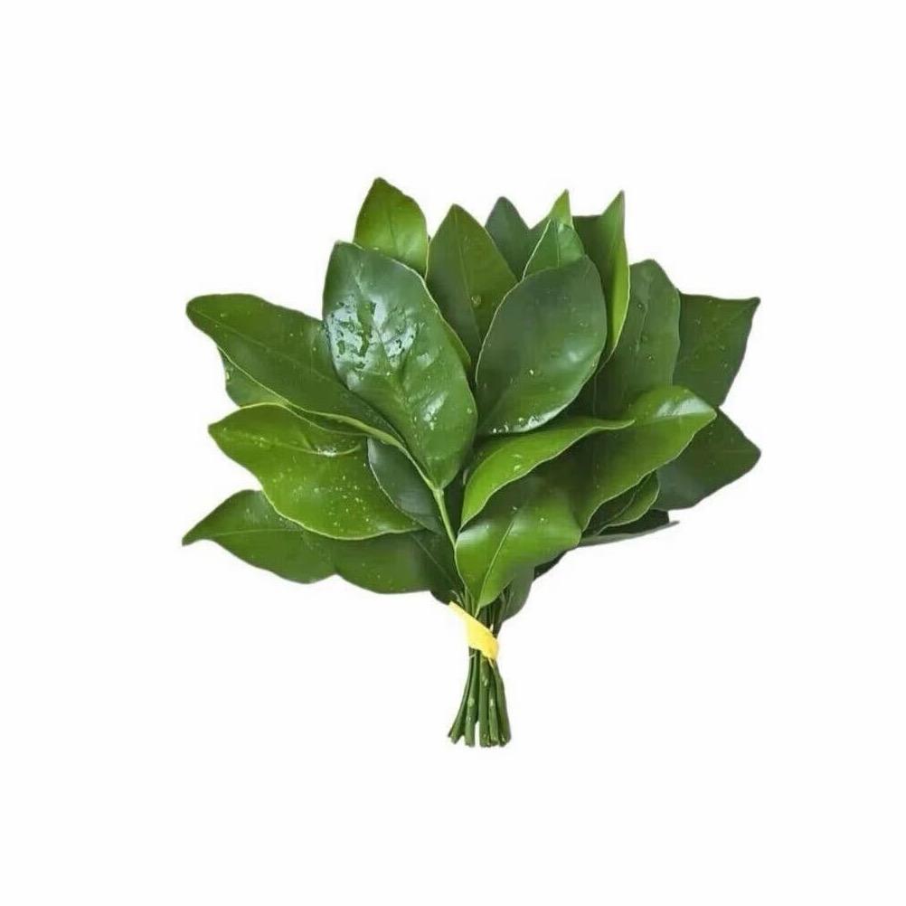 听雨时