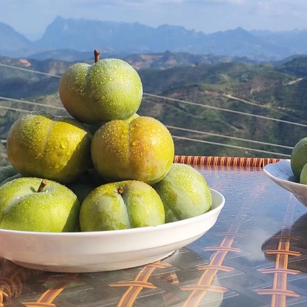 黔多多（农业）