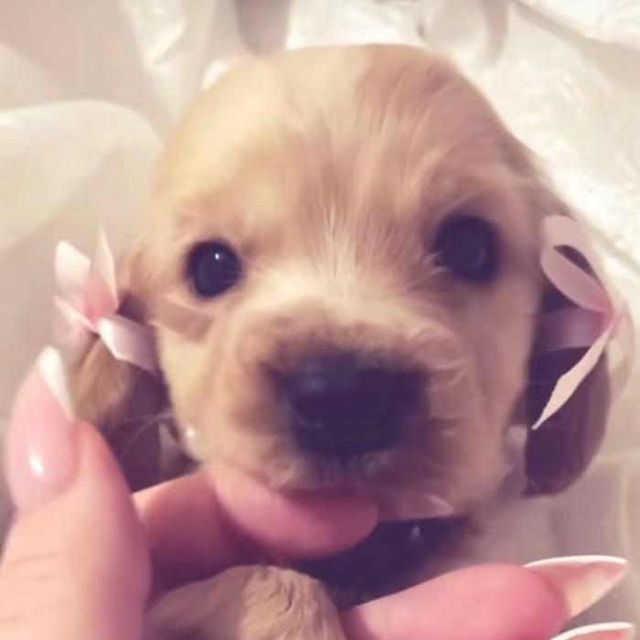 kitty 湾仔面✮⋆˙