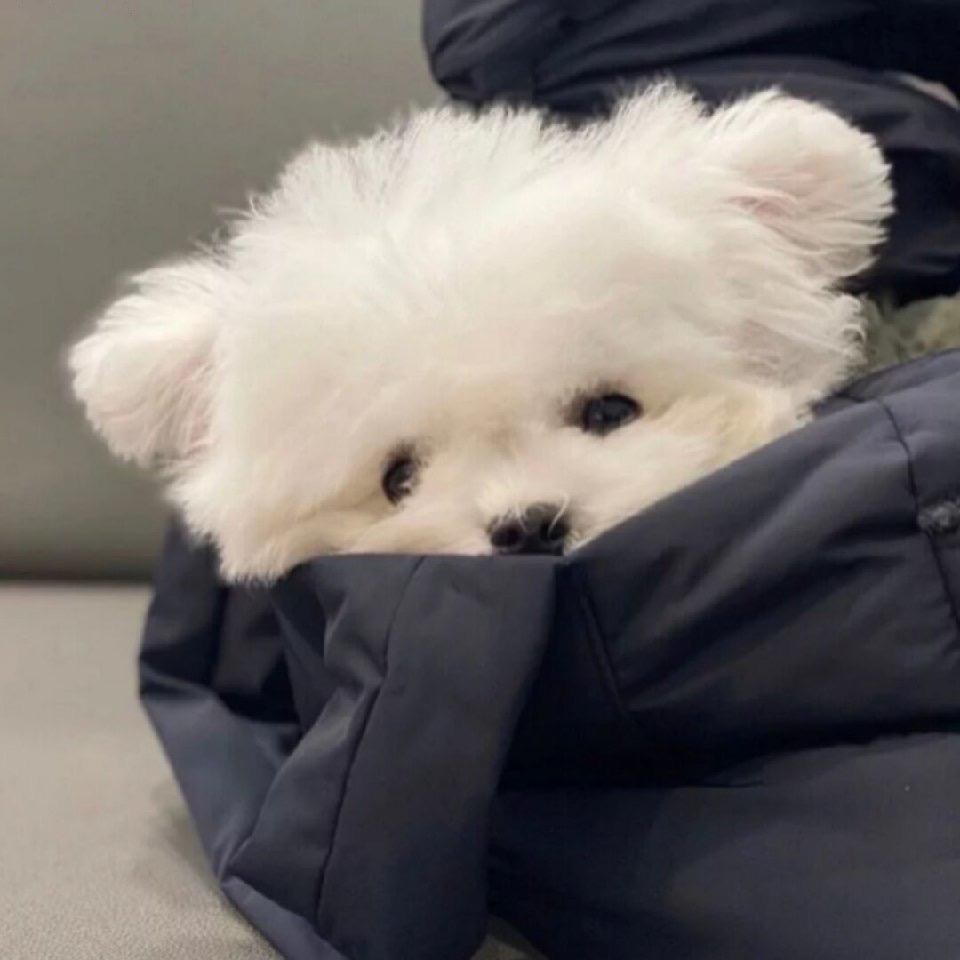 陈陈玥