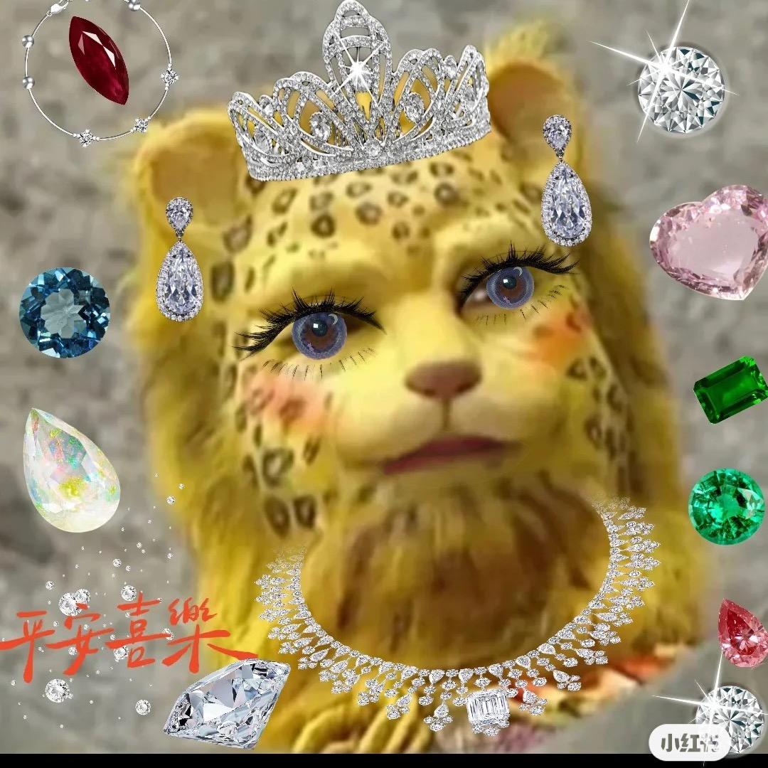 💕张先生的小可爱