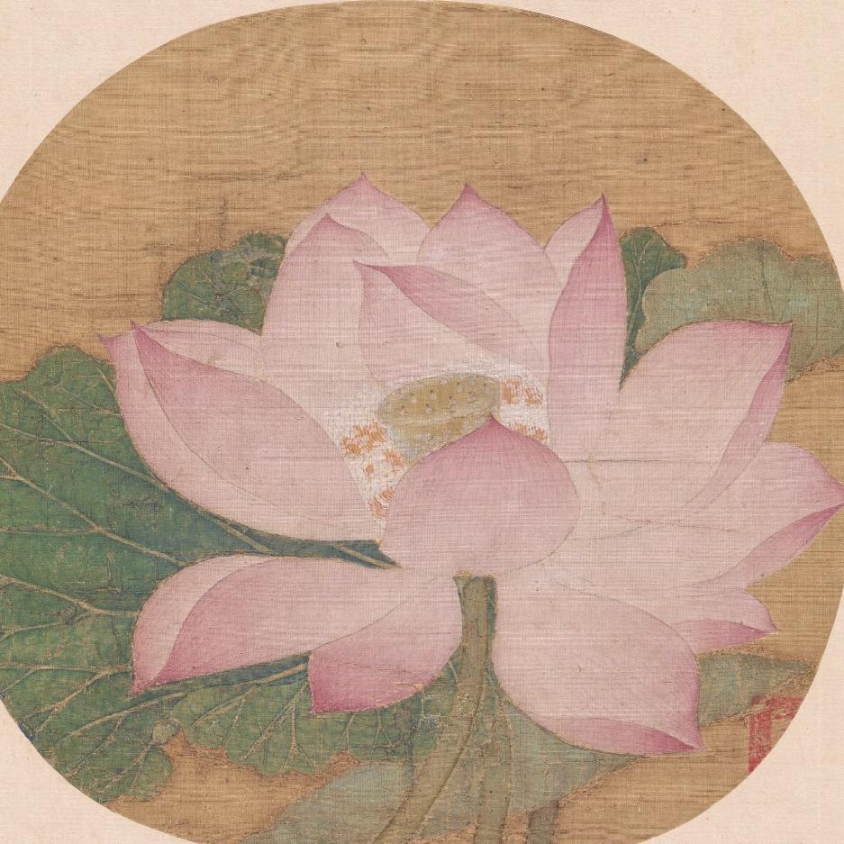王小鸥(好热版)