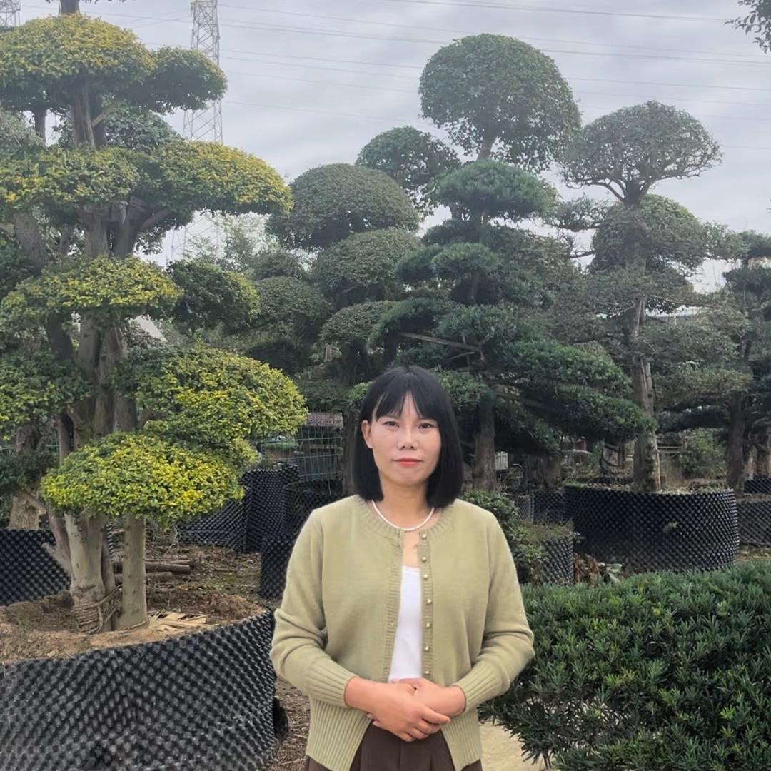 武汉方成园艺—盼姐