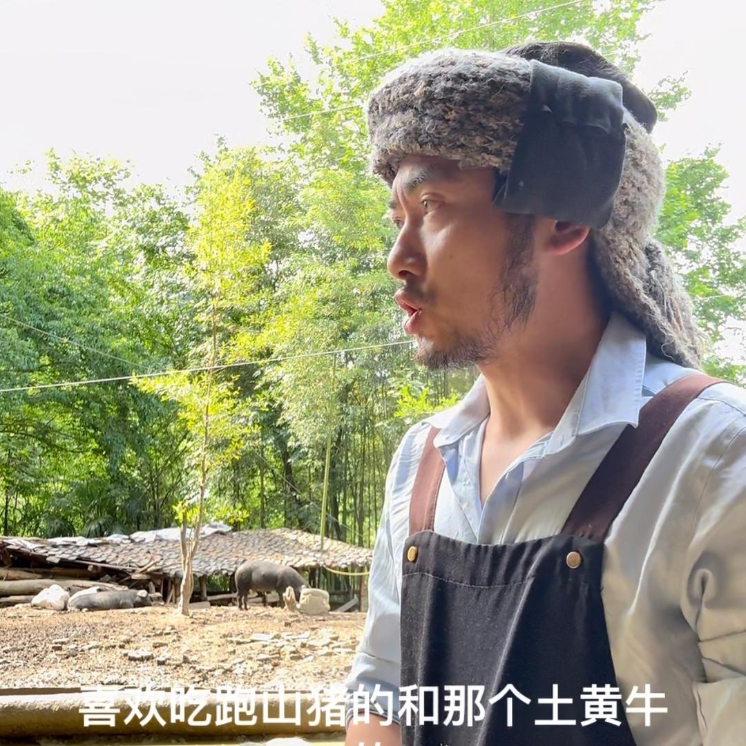 乔峰跑山猪