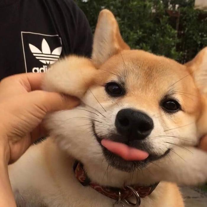 浮华丶