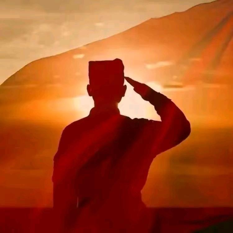 退伍助农绿先锋