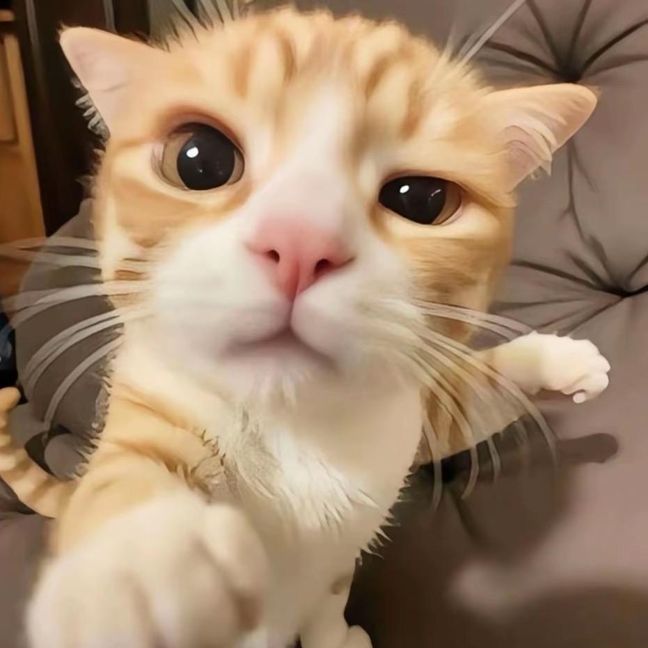 苏达（冲一万粉丝）